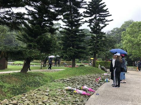 花蓮樹葬|樹葬、花葬的好處在哪裡？ 不需墓地、造碑且零花。